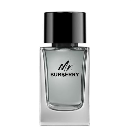 Burberry Mr. Burberry Eau de Toilette 100ml Spray