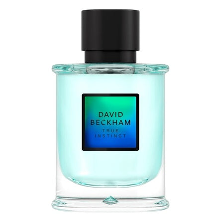 David Beckham True Instinct Eau de Parfum 75ml Spray