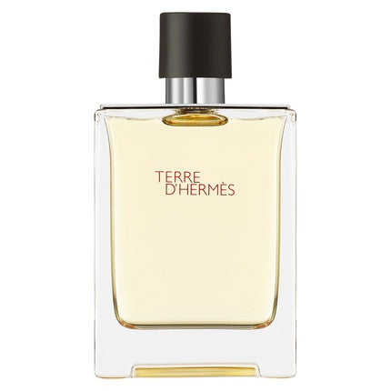 Hermès Terre d'Hermès Eau de Toilette 100ml Spray